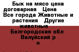 Бык на мясо цена договарная › Цена ­ 300 - Все города Животные и растения » Другие животные   . Белгородская обл.,Валуйский р-н